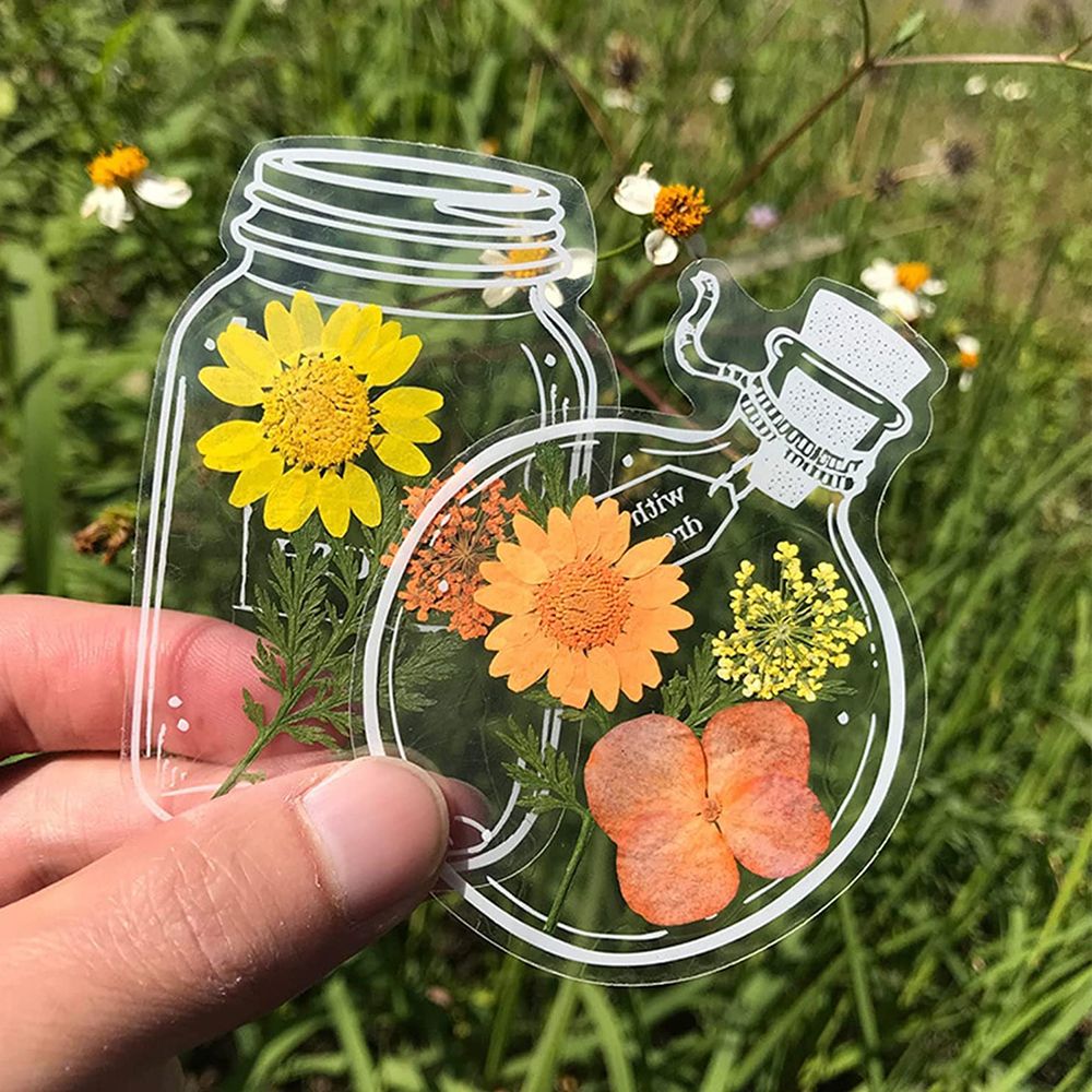 30Pcs DIY Transparent Dried Fl - огляд і ціна Dried Flower Bookmark