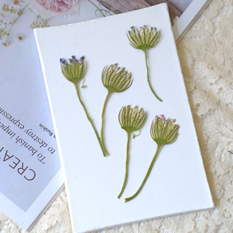 12PCS Pressed Emerald Pearl Fl - огляд і ціна Dried Flower Bookmark