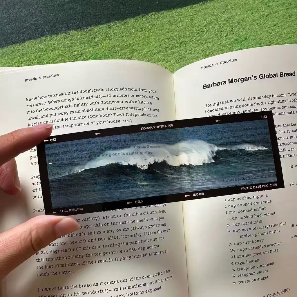 Sea'S Memoirs Ocean Theme Film - огляд і ціна Dried Flower Bookmark