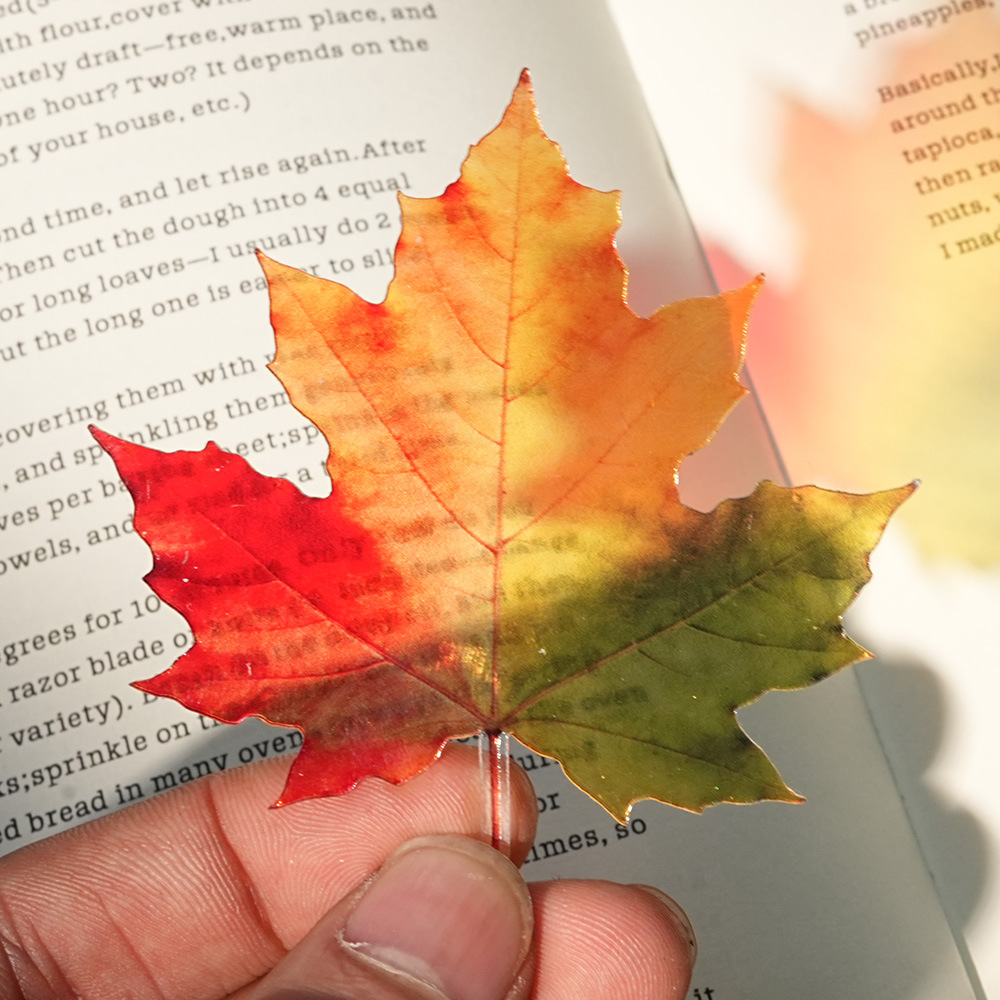 New Delicate Leaves Bookmark T - огляд і ціна Dried Flower Bookmark